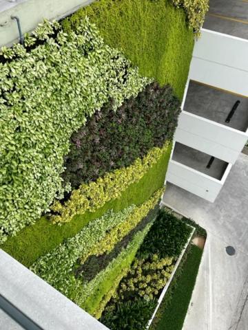 New Luxury Apartment With King - Size Bed Ceibos Guayaquil Zewnętrze zdjęcie